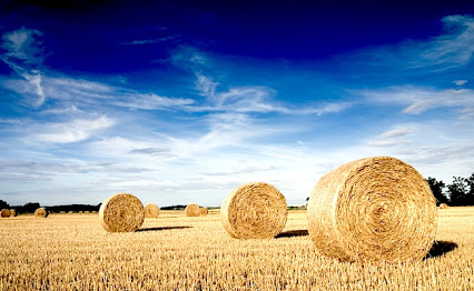 Straw bales on farmland with blue cloudy sky